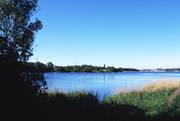 Natur in Ellenberg