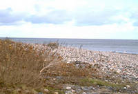 KÃ¼ste Schwansener See